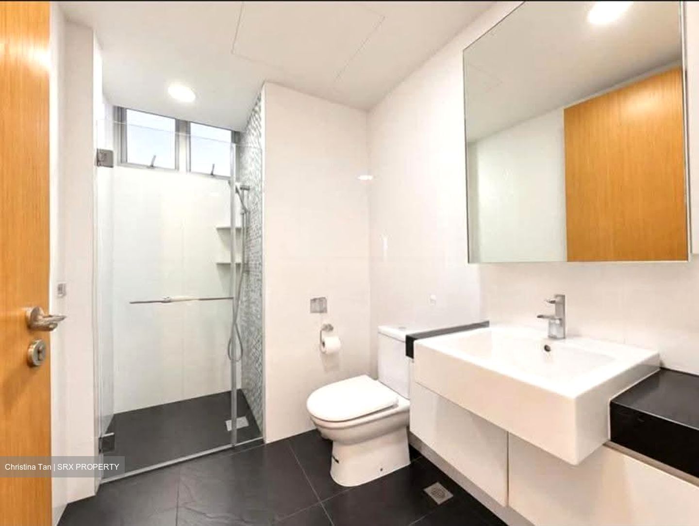 Oasis @ Elias (D18), Condominium #628917191